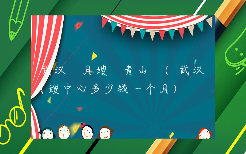 武汉 月嫂 青山 (武汉月嫂中心多少钱一个月)